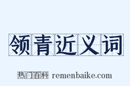 领青近义词是什么意思的图片